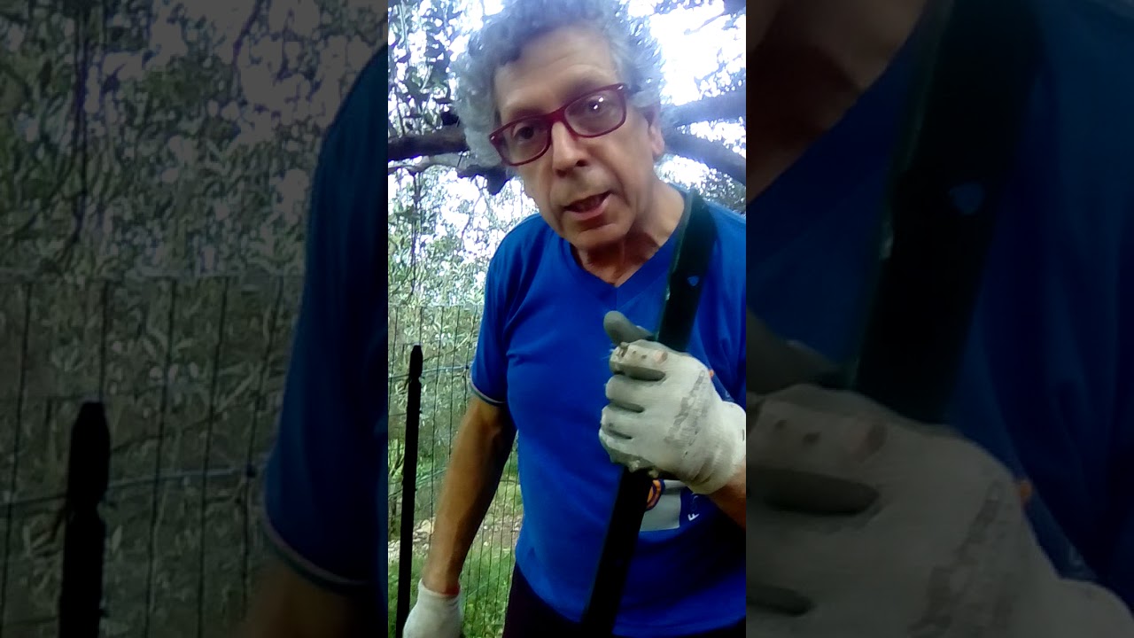 La faina qui non entra