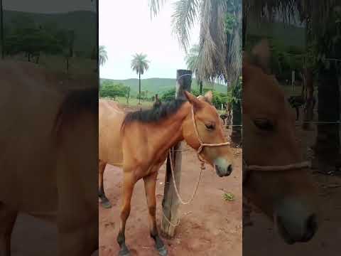 24 de novembro de 2025