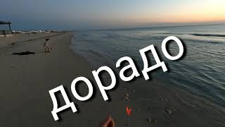 Рыбалка на острове джерба в сентябре