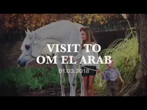 Visit to Om El Arab