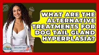 What Are The Alternative Treatments For Dog Tail Gland Hyperplasia - Ask A Pet Vet