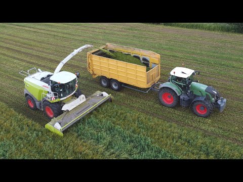 Claas Jaguar 980 & Direct Disc 600p - Loonbedrijf Neyt