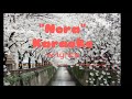 Nora Japanese song | karaoke w/lyrics