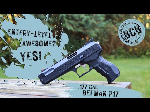 Beeman P17 - Top 5 reasons it is a great garage gun!!