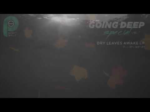 Dry Leaves Awake (Radio Version) - DJ Lion, BONDI | Video Teaser [Patent Skillz]
