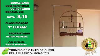DORAMA 250 - PARDO