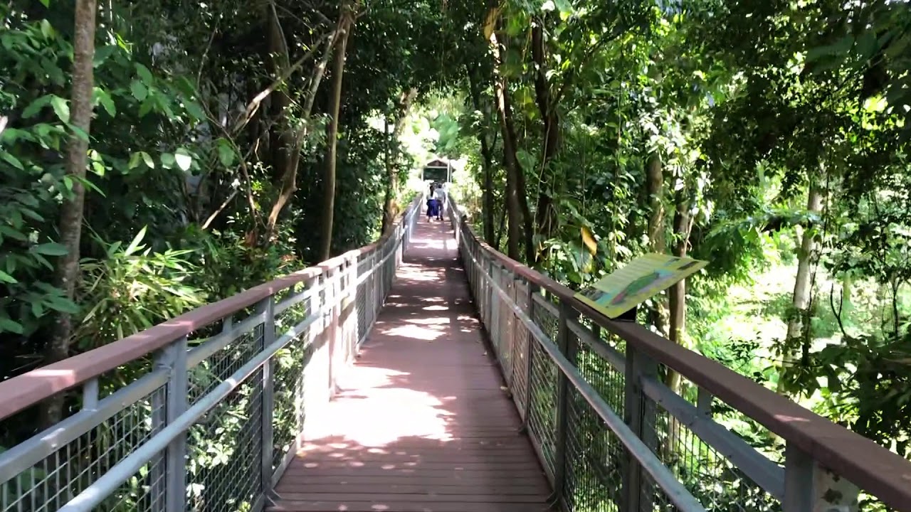Explore the captivating Imbiah Nature Trail, an interactive journey at Sentosa Nature Discovery.