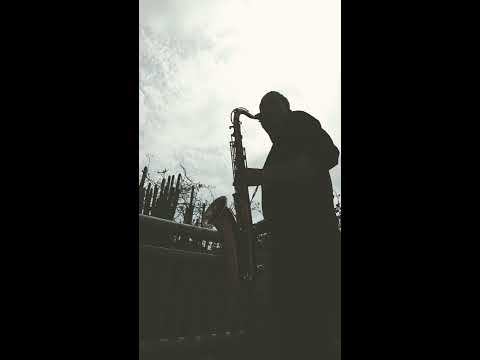 Video 3 de Saxofonista Sevi Video 3 de Saxofonista Sevi