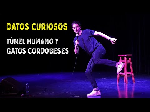 Datos Curiosos #4 - Túnel Humano y Gatos Cordobeses (Impro con el Público)