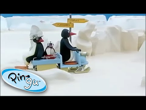 Pingu's Family Rides Around In The Snow! @Pingu – Official Channel | Cartoons for Kids - Kids (0-4), Kingdom Kids Zone - Pingu - Official Channel