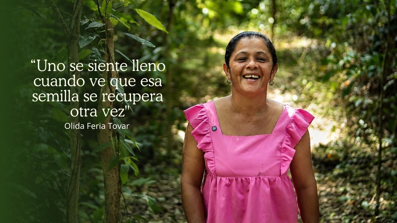 Pichilín | Olida Feria Tovar, guardadora de semillas y protectora del bosque seco tropical en Sucre