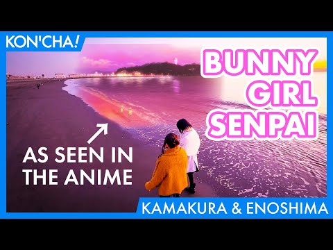 download lagu mp3 mp4 Seishun Buta Yarou Official Website, download lagu Seishun Buta Yarou Official Website gratis, unduh video klip Seishun Buta Yarou Official Website