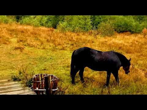 Toamna la Lacul Mocearu - Tinutul Buzaului