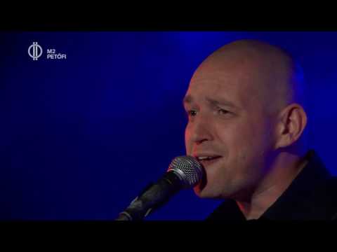 Little G. Weevil - A38 koncert