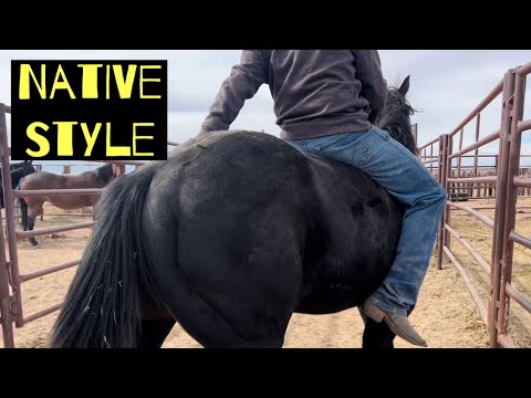 INDIAN COWBOY | TRIMMING FOALS | DIBS & MILLIE