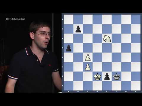 Endgames to change World Championship history | Endgame Exclam!! - GM Denes Boros