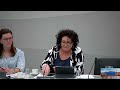Van der Plas (BBB) VS D66'er: "Het ENIGE wat u wilt is ALLES VERBIEDEN, terwijl het NIEMAND helpt!"