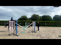 Cheval 12 ans &agrave; vendre