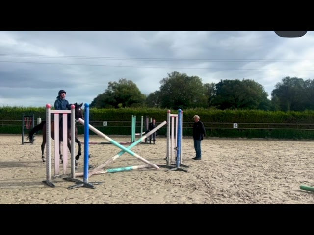 Cheval 12 ans &agrave; vendre