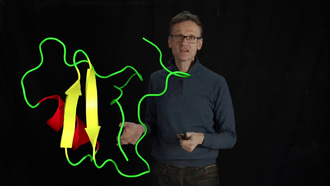Lecture 07, concept 29: Disordered protein structures (think function)