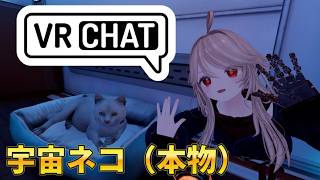 【vlog】「Project Lost Worlds」にて宇宙旅行！宇宙ネコに出会う！【VRChat】