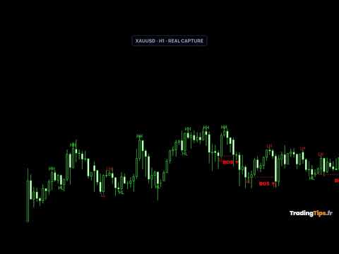 Video SMC Trade Pilot MT5