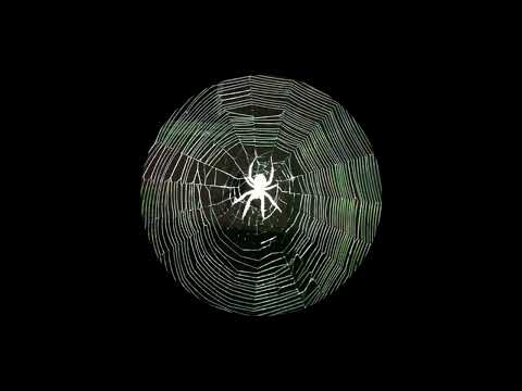 [FREE] Alpha Wann x Lesram x Freestyle Type Beat : " Brigade Fantôme " (prod by @yᴀng)