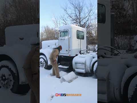Thumbnail for -3 COLD START - 1980 Peterbilt 359 #diesel #peterbilt #kenworth #mack #cummins #caterpillar #bigcam by Kenworth, Peterbilt, Car
