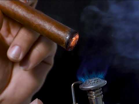 Я в весеннем лесу Слава Медяник