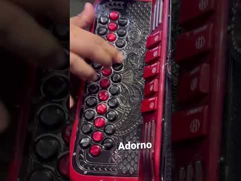 Aprende este Adorno con nosotros #melodyband #acordeon