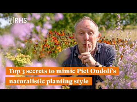 Top 3 secrets to mimic Piet Oudolf's naturalistic planting style | The RHS