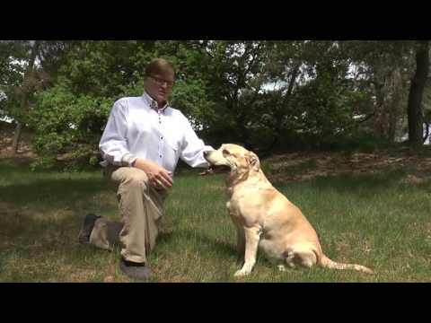 Benno van Vugt   Mijn beste kameraad