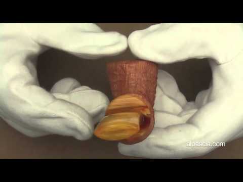 Pipa Neptune Powder Horn Light Blast - pipe 021