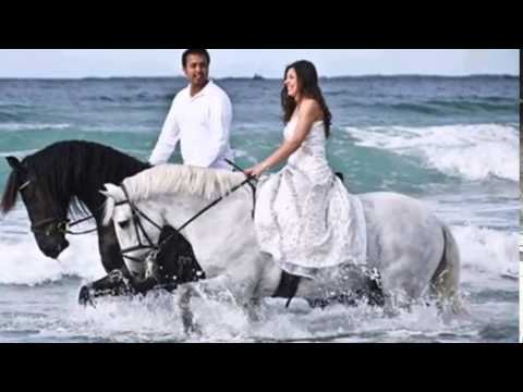 Plava Noc  --  Ja se konja bojim