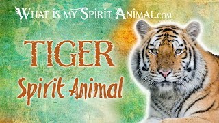 Tiger Spirit Animal | Tiger Totem & Power Animal | Tiger Symbolism & Meanings