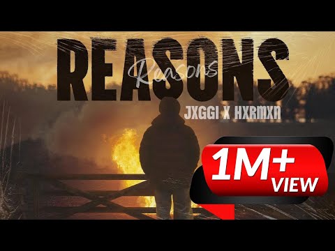 Reasons
