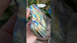 Labradorit rez 395g