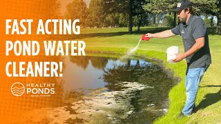 RUSH: How to Transform Your Pond Naturally