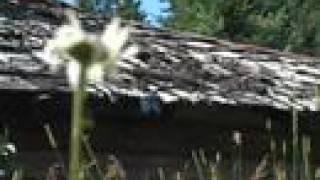 Explosions in the Sky - Have You Passed Through This Night?