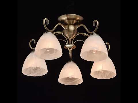 Превью видео