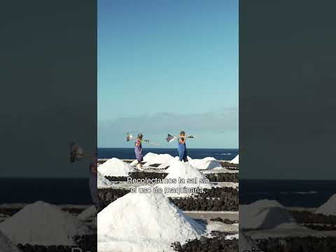 Discover the Fuencaliente Salt Flats