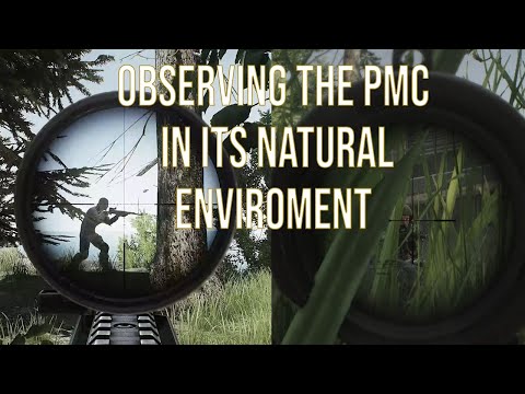 Punisher Part 4 - The Hunt Begins and finds its first prey - Escape from Tarkov Series #2