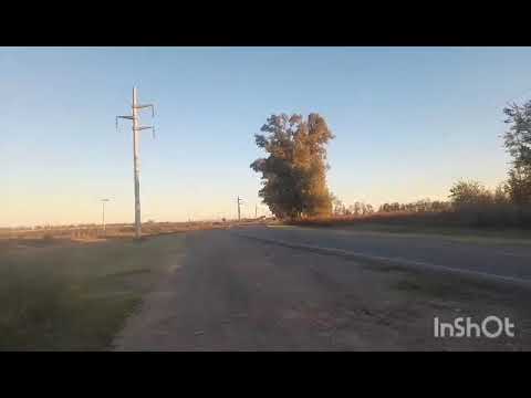 CAMIONES EN RP1 , SAN FRANCISCO , CORDOBA , ARGENTINA , VIDEO 258