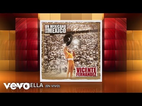 Vicente Fernández - La Estrella (En Vivo) [Cover Audio]