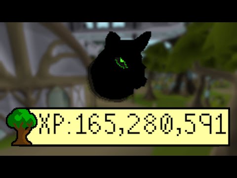 The 1,000 Hour Pet Grind Is Finally Over