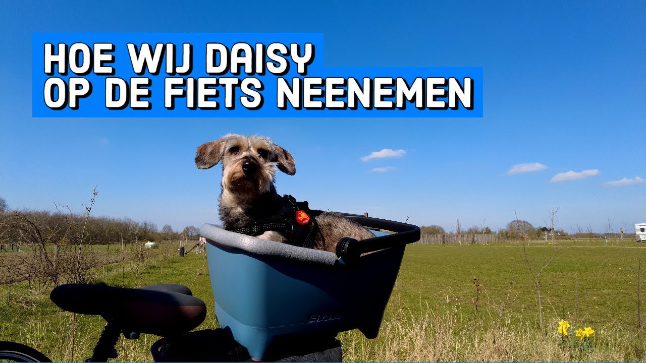 Fietsen met de hond doen wij met deze fietsmand.