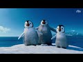 Happy Feet Two Trailer Watch On Iflix