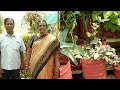 பல வகையான பூக்களை வீட்டு மடியில் வளர�