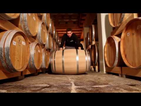 Estrazione delle grappe invecchiate - Distilleria Marzadro 2016