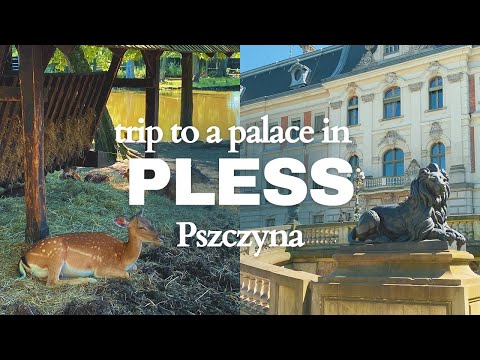 Poland’s Hidden Gem - Day Trip to Pszczyna Palace & Bisons 🦬 Reserve [SUB]